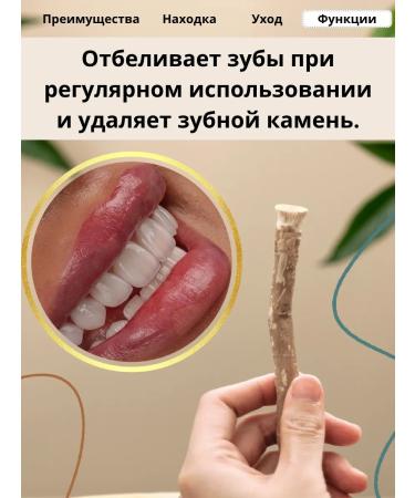 iMuslim Sivak for teeth Misvak mint 3 pcs - Buy Online on GoSupps.com