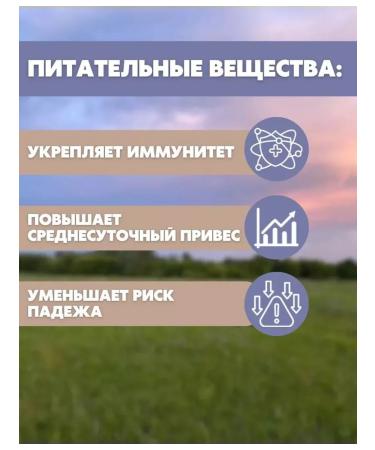 YumYum Complex for rabbits Start - Buy Online on GoSupps.com