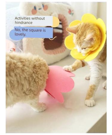 Protective collar-cones XL yellow sunflower 5-8 kg - Buy Online on GoSupps.com