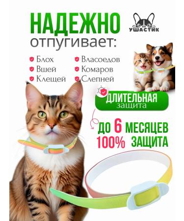 EARED Collar from fleas and ticks for cats and dogs of small breeds - Buy Online on GoSupps.com