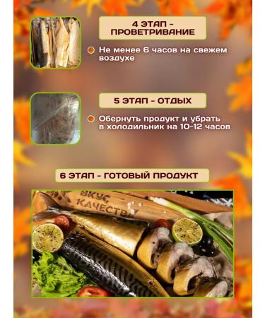 TASTE OF QUALITY Squeezing and smoke generator care products - Buy Online on GoSupps.com