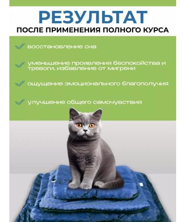 Ergamin Impala BIO Antistress Course Super Eaa Amino 320 Capsules - Buy Online on GoSupps.com