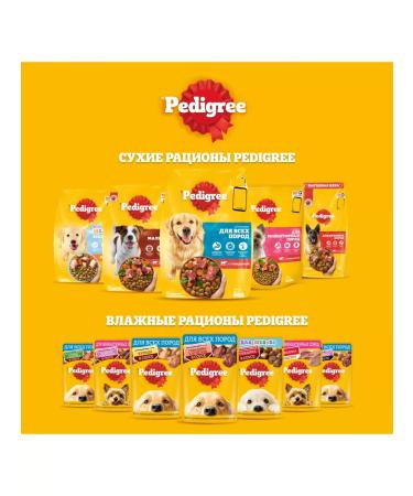 PEDIGREE Dry food for dogs of all breeds with beef 13 kg - Buy Online on GoSupps.com
