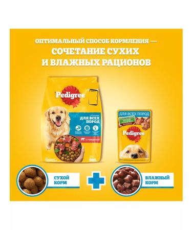 PEDIGREE Dry food for dogs of all breeds with beef 13 kg - Buy Online on GoSupps.com