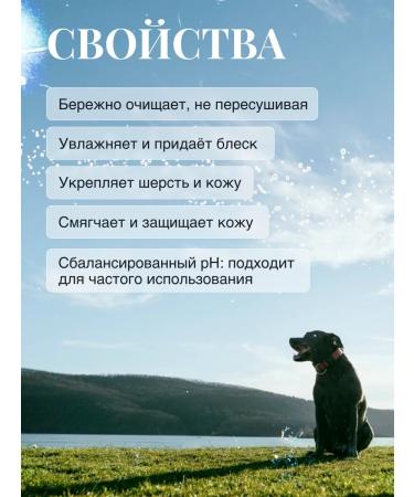 MILORD Hypoallergenic shampoo for dogs gently cleansing grapes - Buy Online on GoSupps.com