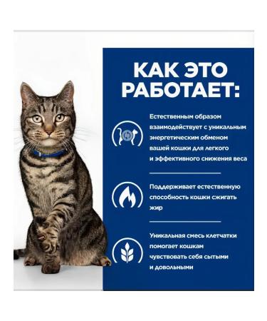 HILL'S Dry food Diet Metabolic for cats (tuna) 1.5 kg - Buy Online on GoSupps.com