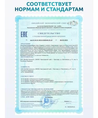 SOLAB L Carnitine Sportpite fat burner in capsules - Buy Online on GoSupps.com