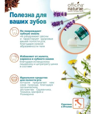 Officina Naturae Toothpaste without fluoro Organic anise 75 ml - Buy Online on GoSupps.com