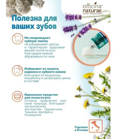 Officina Naturae Toothpaste without fluorine organic lemon 75 ml - Buy Online on GoSupps.com