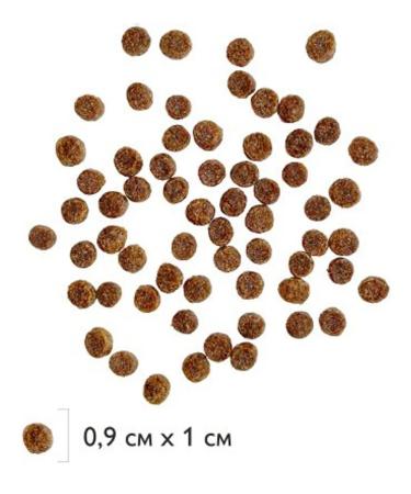 Brit Dry feed for digestion of small dogs turkey 3 kg 2 pcs - Buy Online on GoSupps.com