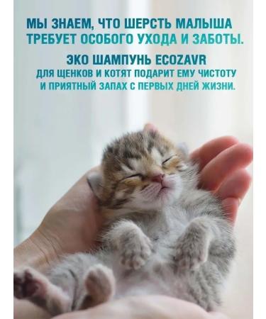 ECOZAVR Eco shampoo for puppies and kittens without SLS Sles 0.5l - Buy Online on GoSupps.com