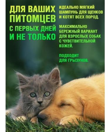 ECOZAVR Eco shampoo for puppies and kittens without SLS Sles 0.5l - Buy Online on GoSupps.com