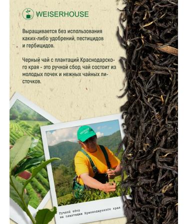 Weiserhouse Tea "Krasnodar black" 100 grams - Buy Online on GoSupps.com