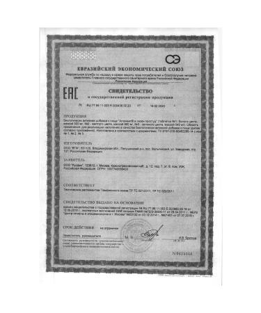 alphabet in the cold season N60 Table - 2pcs - Buy Online on GoSupps.com