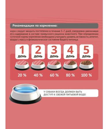 ProBalance Adult Active for dogs 12kg - Buy Online on GoSupps.com