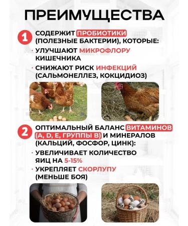 Your Farm Vitamins for chickens A layout for egg production of Zdovur 250 gr. - Buy Online on GoSupps.com