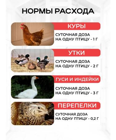 Your Farm Vitamins for chickens A layout for egg production of Zdovur 250 gr. - Buy Online on GoSupps.com