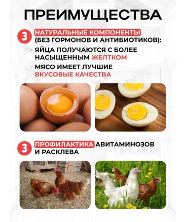 Your Farm Vitamins for chickens A layout for egg production of Zdovur 250 gr. - Buy Online on GoSupps.com