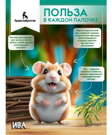 FluffyBrotherhood A treat for rodents and birds twigs of a wand - Buy Online on GoSupps.com