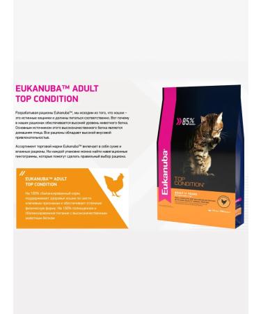 Eukanuba Dry food for adult cats with birds 800 g - Buy Online on GoSupps.com