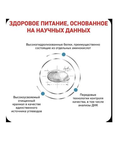 ROYAL CANIN Dry food for cats Anallergenic CAT 2 kg - Buy Online on GoSupps.com