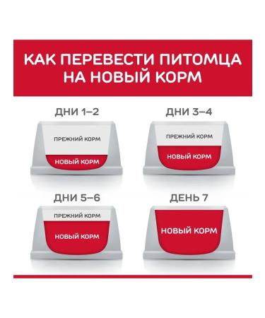 HILL'S Hills Sensitive Stomach & Skin for small breeds chicken 3 kg - Buy Online on GoSupps.com