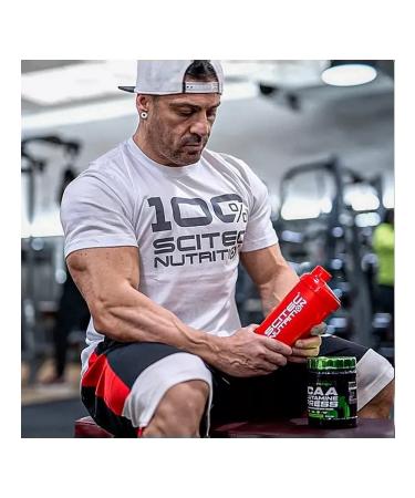 Scitec Nutrition Amino acids glutamine BCAA Glutamine Xpress 300G Long - Buy Online on GoSupps.com