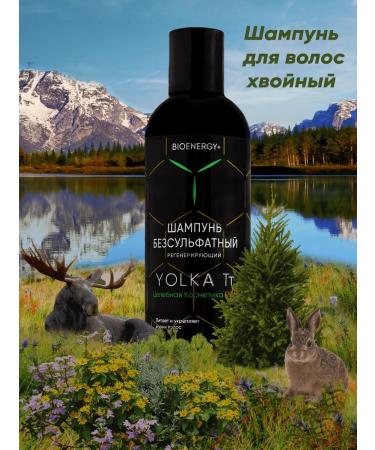 With taste Your Traditions Hair shampoo Saluscapular natural care 250 ml