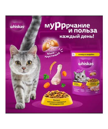 WHISKAS Dry food for cats pillows chicken turkey 5kg - Buy Online on GoSupps.com