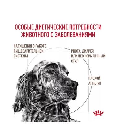 ROYAL CANIN Gastrointestinal Dry Feed for dogs 2kg - Buy Online on GoSupps.com