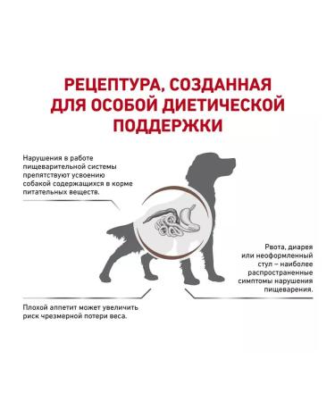 ROYAL CANIN Gastrointestinal Dry Feed for dogs 2kg - Buy Online on GoSupps.com