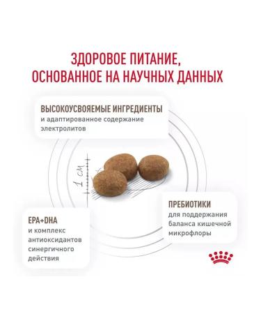 ROYAL CANIN Gastrointestinal Dry Feed for dogs 2kg - Buy Online on GoSupps.com