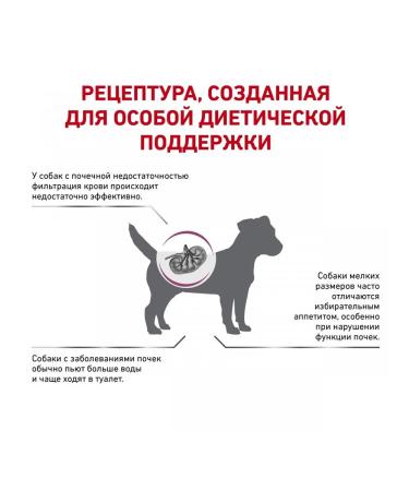 ROYAL CANIN Renal Small Dog Form for dogs of small species 1.5 kg - Buy Online on GoSupps.com