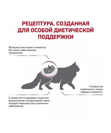 ROYAL CANIN Early Renal dry cat food 1.5 kg - Buy Online on GoSupps.com