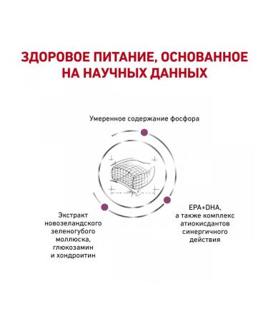 ROYAL CANIN Early Renal dry cat food 1.5 kg - Buy Online on GoSupps.com