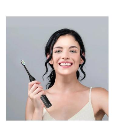 PHILIPS 12 pcs replacing black - Buy Online on GoSupps.com