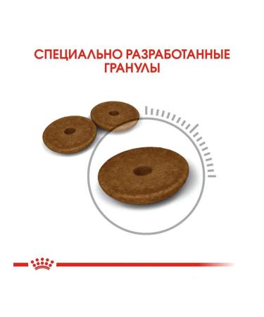 ROYAL CANIN Digestive Care dry cat food 2kg - Buy Online on GoSupps.com