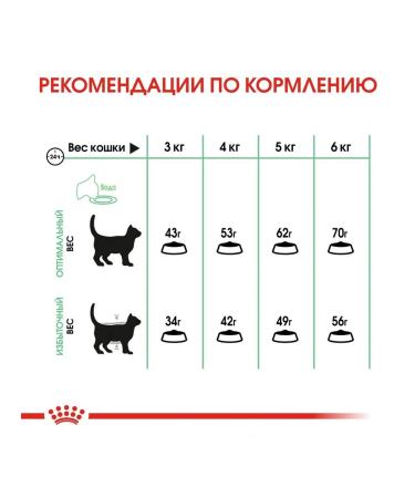 ROYAL CANIN Digestive Care dry cat food 2kg - Buy Online on GoSupps.com