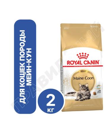 ROYAL CANIN Main coon adult