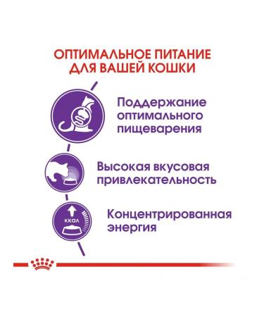 ROYAL CANIN Sensible 33 Dry food for cats 2kg - Buy Online on GoSupps.com