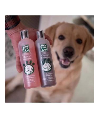 animals boutique Shampoo powder against insects 250 grams for dogs of cats - Buy Online on GoSupps.com