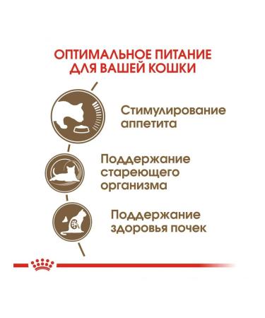 ROYAL CANIN Ageing 12+ Dry Food for Senior Cats 2kg - Buy Online on GoSupps.com