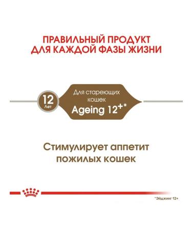 ROYAL CANIN Ageing 12+ Dry Food for Senior Cats 2kg - Buy Online on GoSupps.com