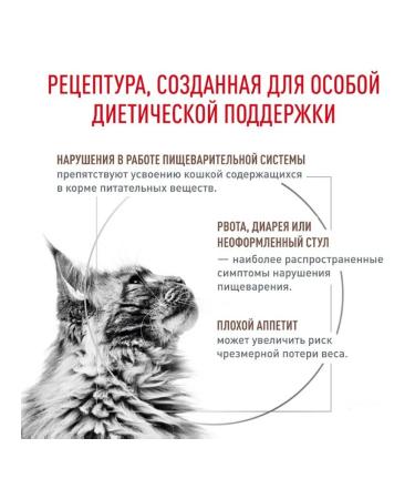 ROYAL CANIN GastroinTestinal Dry food for cats 2kg - Buy Online on GoSupps.com