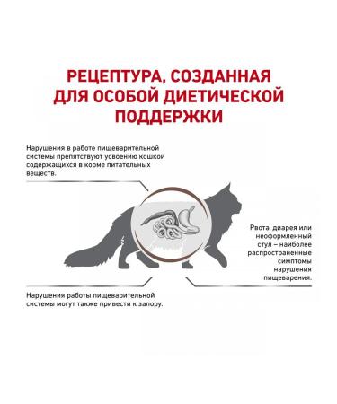 ROYAL CANIN GastroinTestinal Dry food for cats 2kg - Buy Online on GoSupps.com