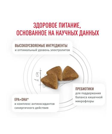 ROYAL CANIN GastroinTestinal Dry food for cats 2kg - Buy Online on GoSupps.com