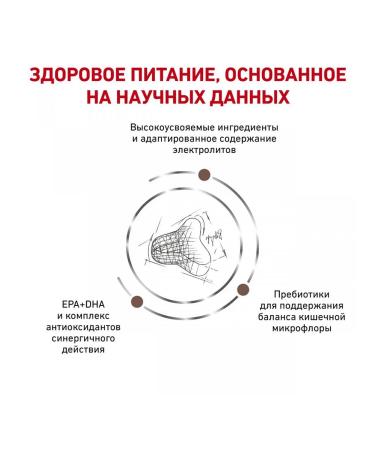 ROYAL CANIN GastroinTestinal Dry food for cats 2kg - Buy Online on GoSupps.com