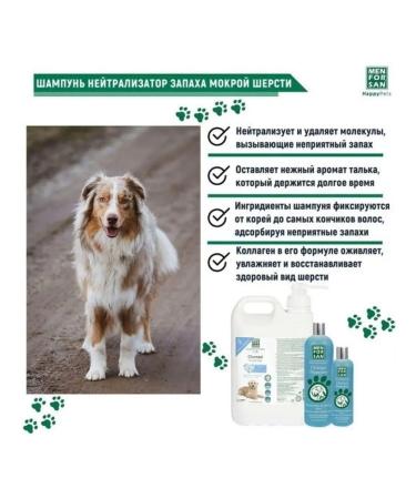 animals boutique Dog shampoo for a long time eliminating the smells of - Buy Online on GoSupps.com