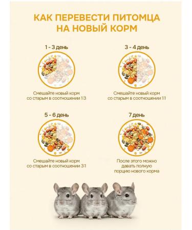Food for chinchillas - Buy Online on GoSupps.com