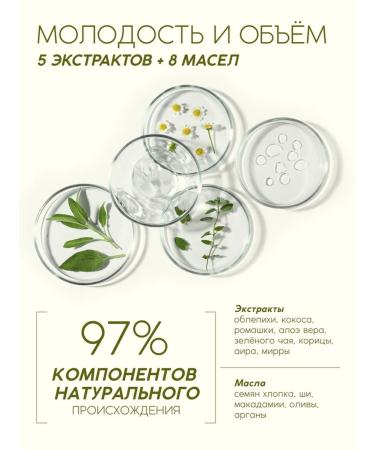 MJ House Vitamin shampoo with the aroma of sea buckthorn - Buy Online on GoSupps.com
